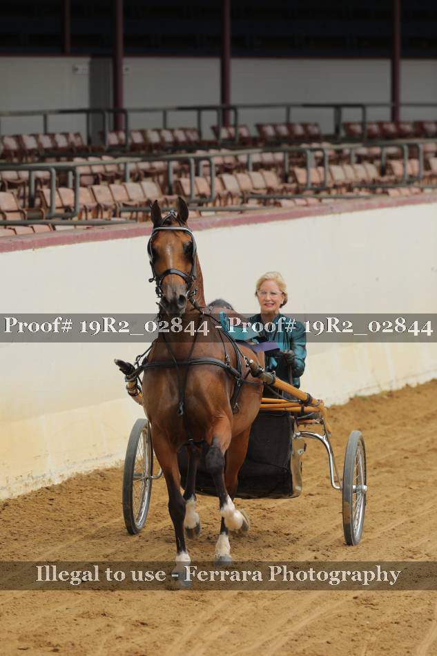 Proof 19R2_02844