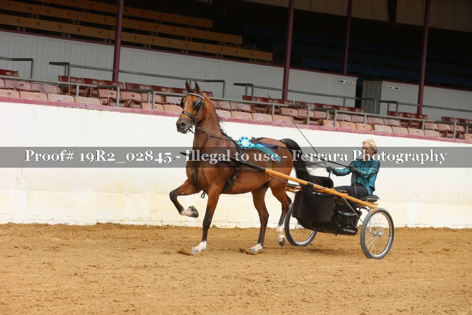 Proof 19R2_02845
