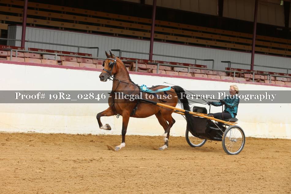 Proof 19R2_02846