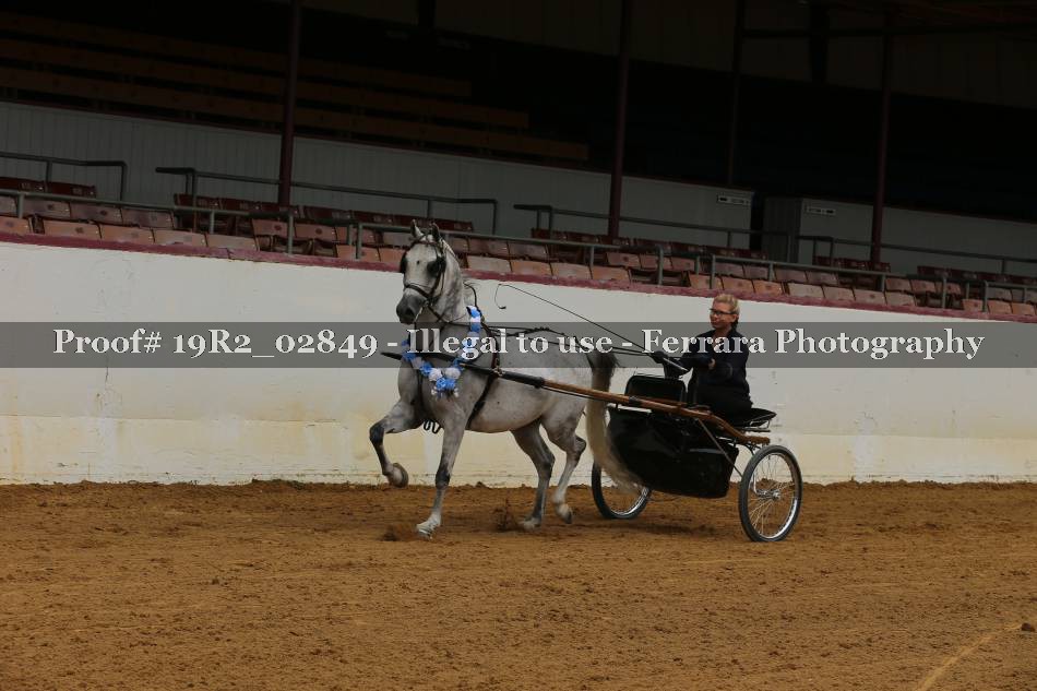 Proof 19R2_02849