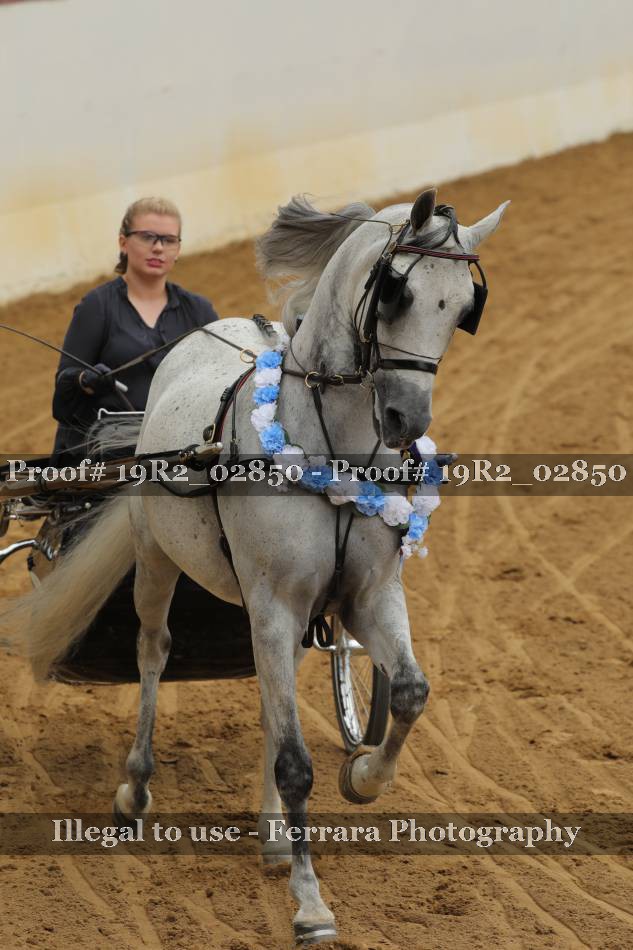 Proof 19R2_02850