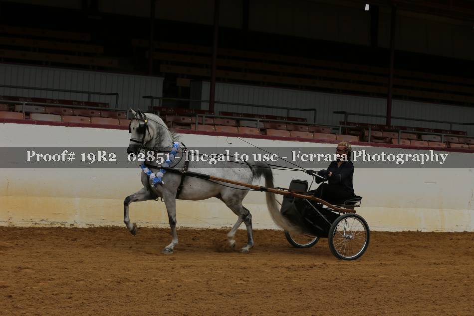 Proof 19R2_02851