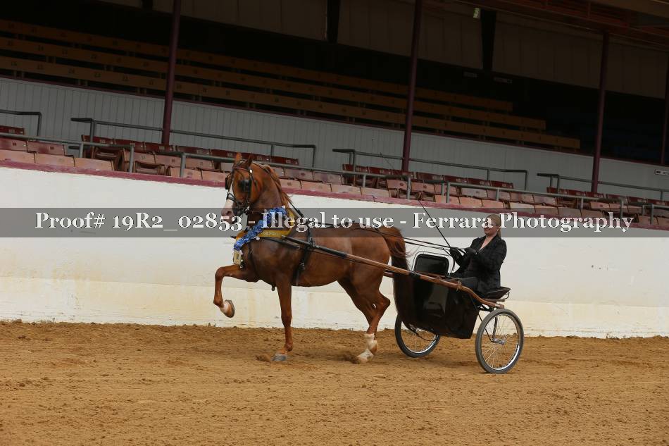 Proof 19R2_02853