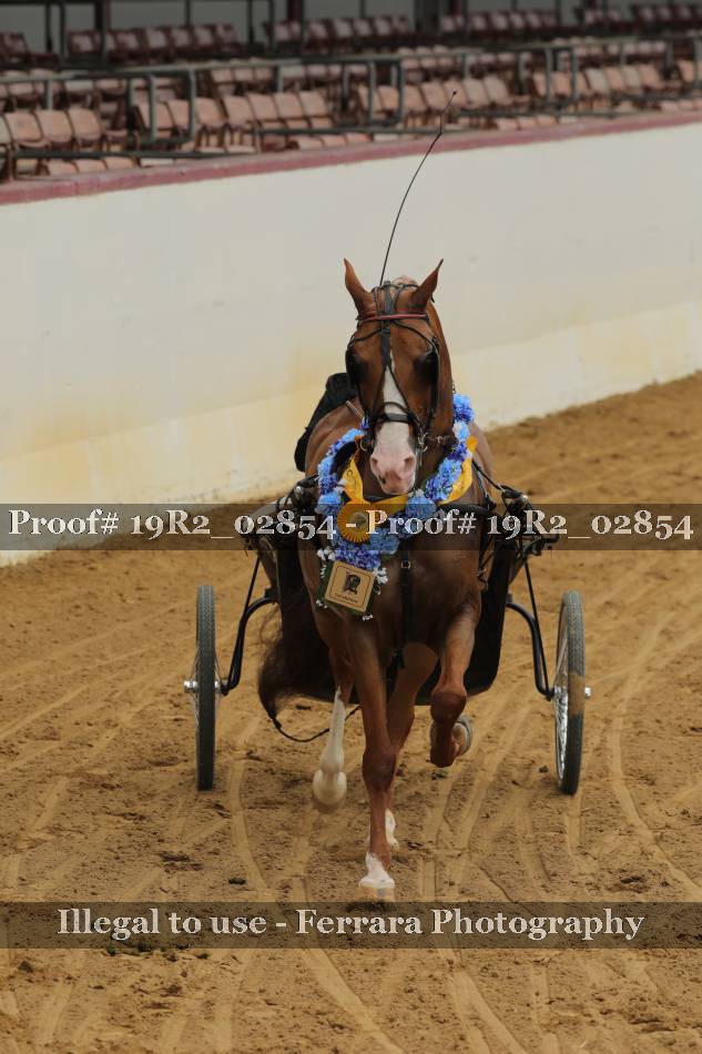 Proof 19R2_02854