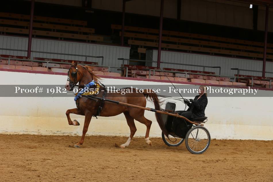 Proof 19R2_02855