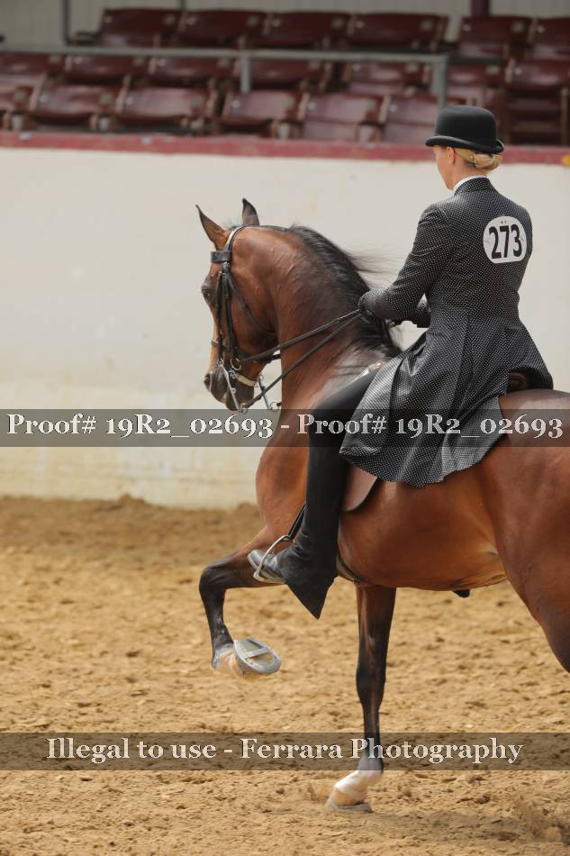 Proof 19R2_02693