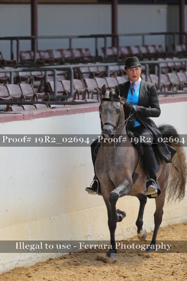 Proof 19R2_02694