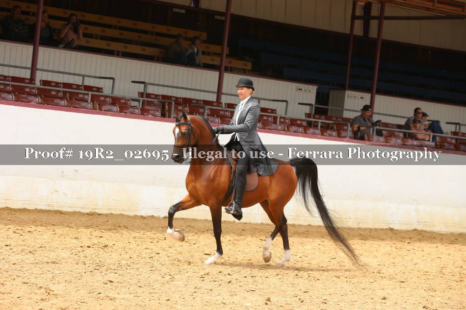Proof 19R2_02695