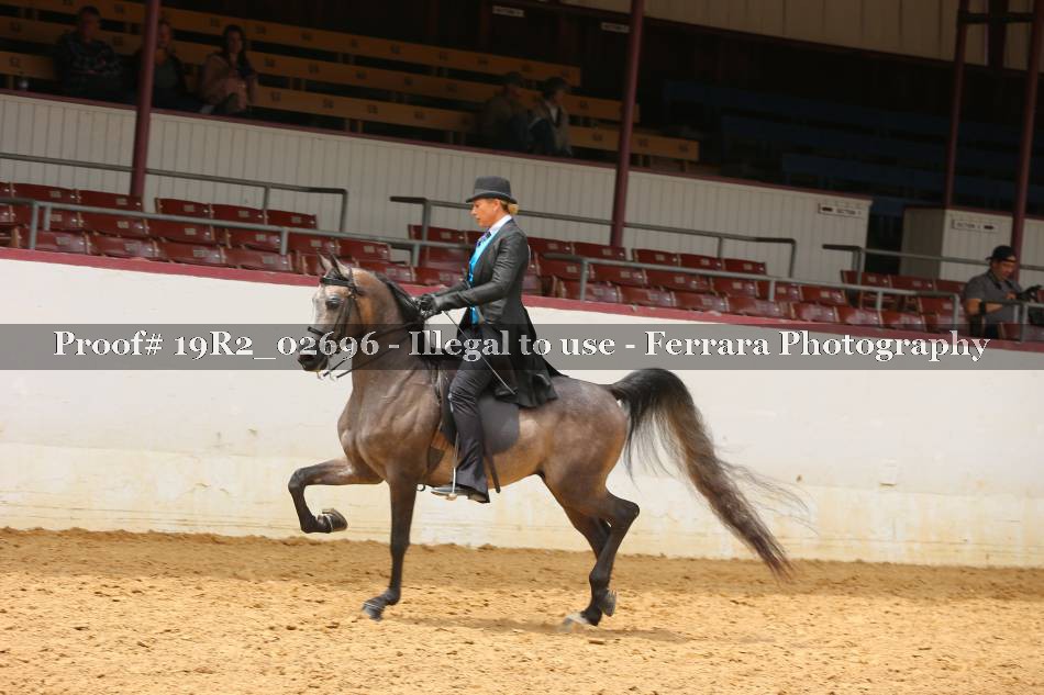 Proof 19R2_02696