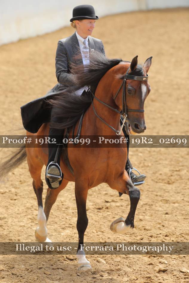 Proof 19R2_02699