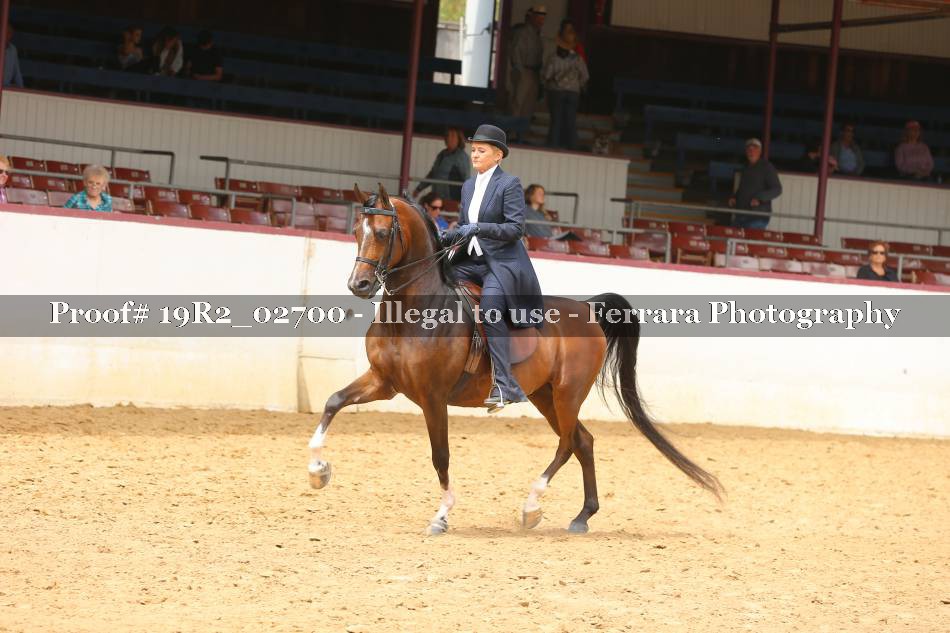 Proof 19R2_02700