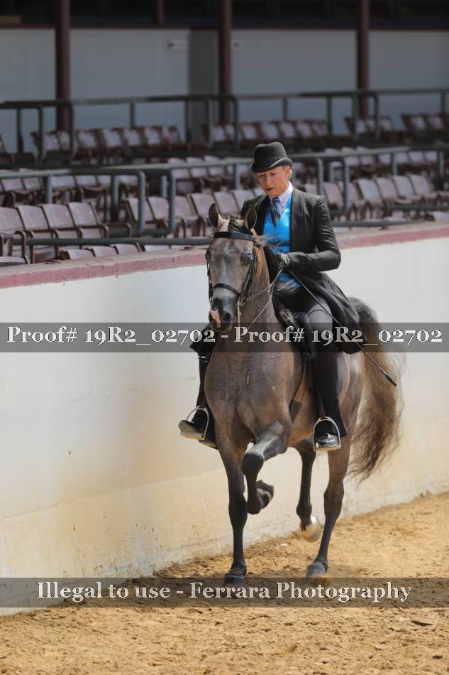 Proof 19R2_02702