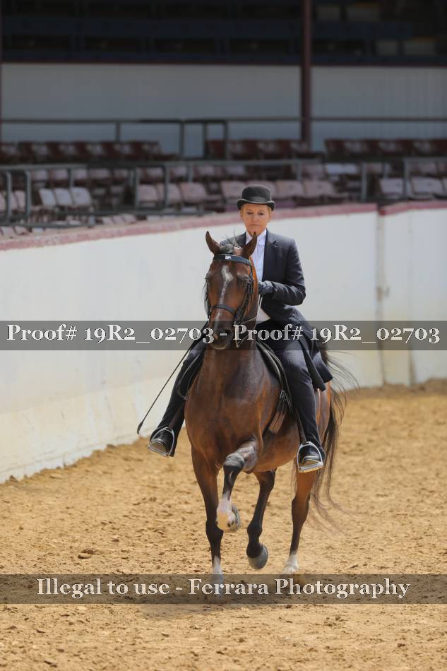 Proof 19R2_02703