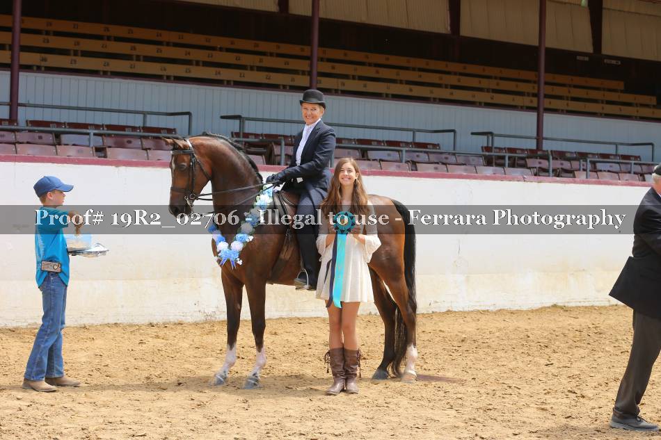 Proof 19R2_02706