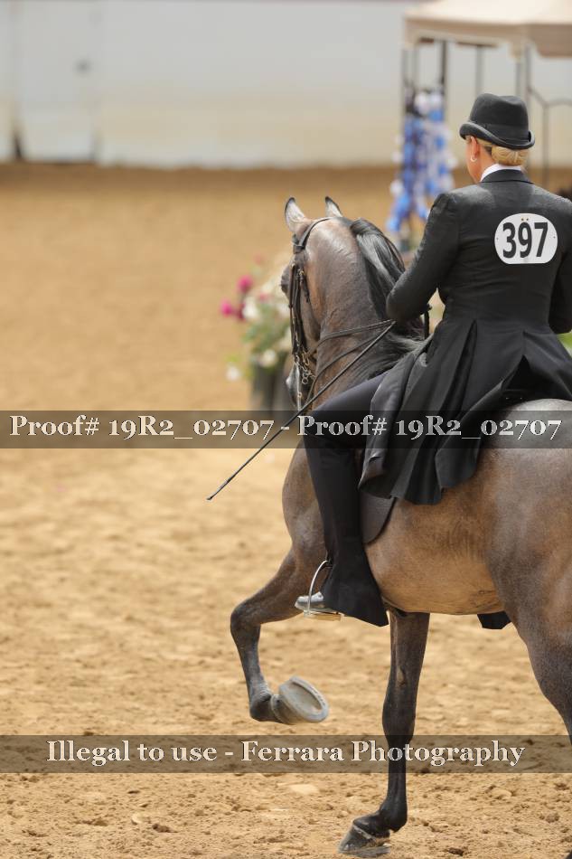 Proof 19R2_02707