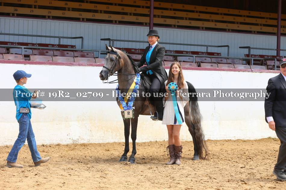 Proof 19R2_02709