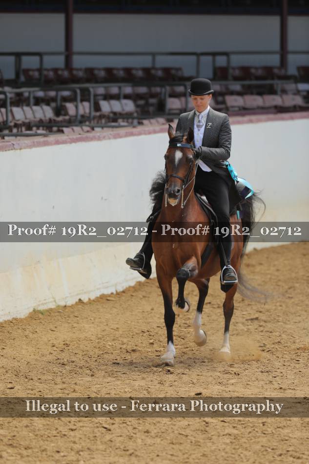 Proof 19R2_02712