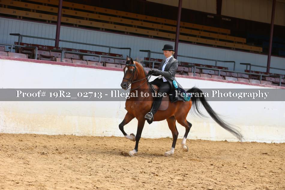 Proof 19R2_02713