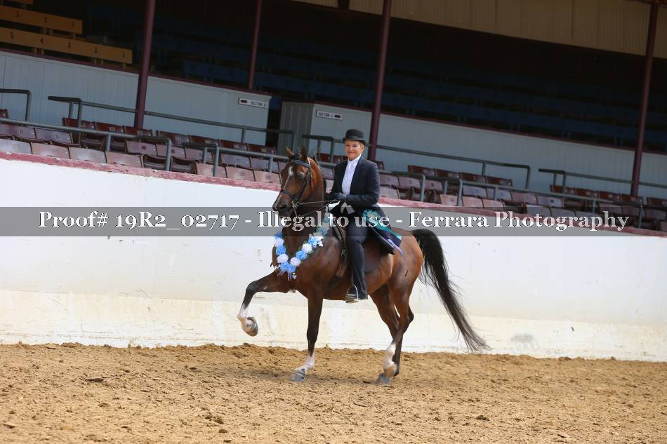 Proof 19R2_02717