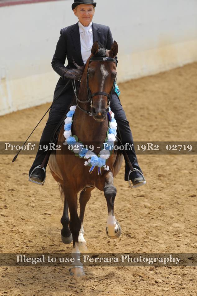 Proof 19R2_02719