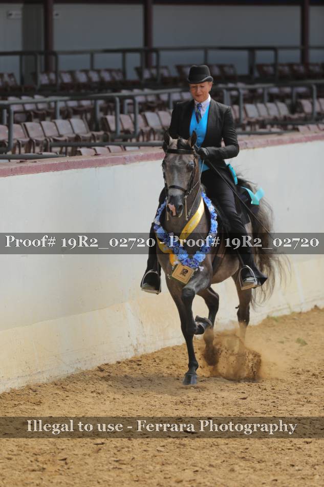 Proof 19R2_02720