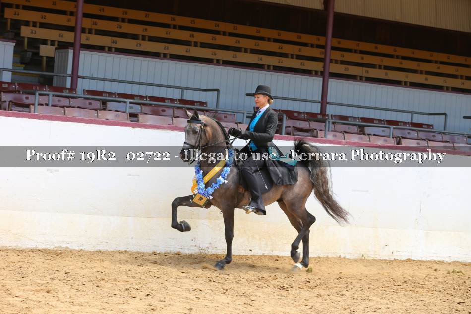 Proof 19R2_02722