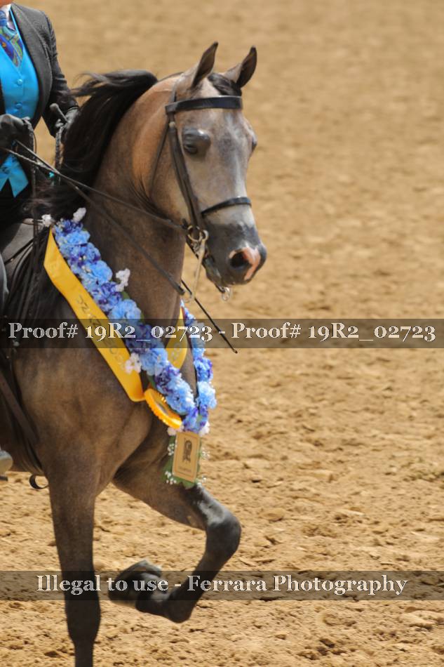 Proof 19R2_02723