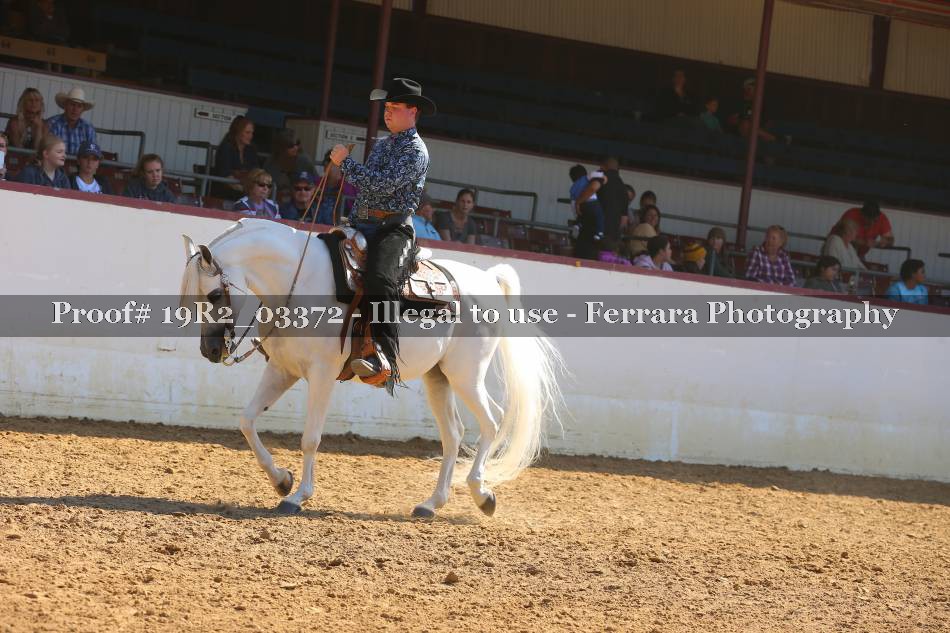 Proof 19R2_03372