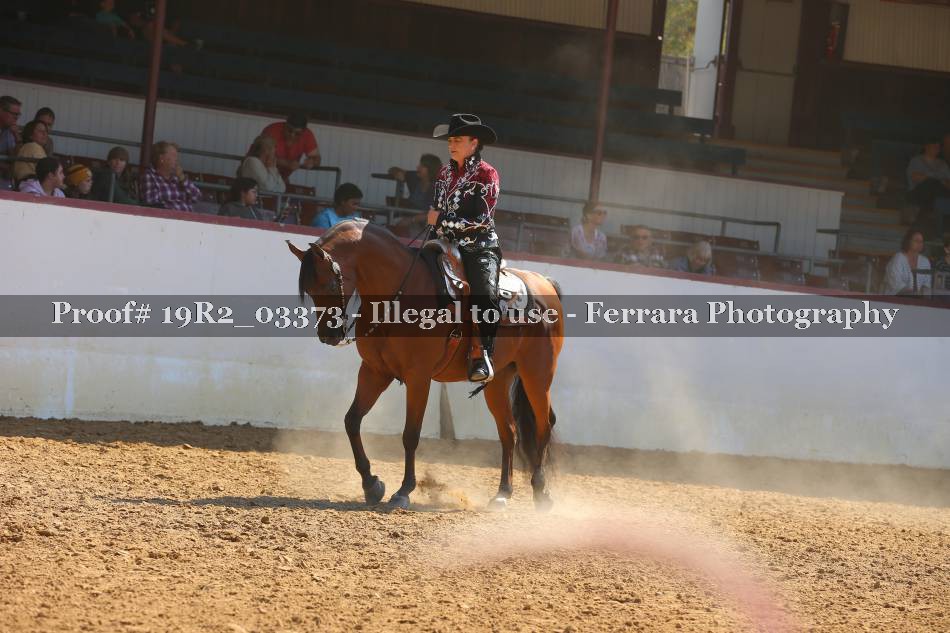 Proof 19R2_03373
