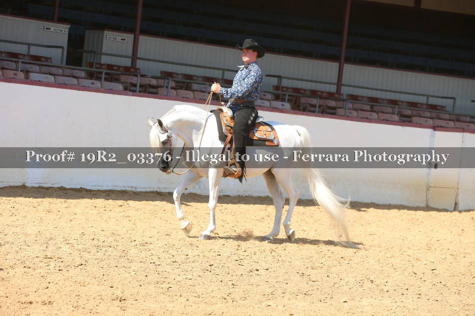 Proof 19R2_03376