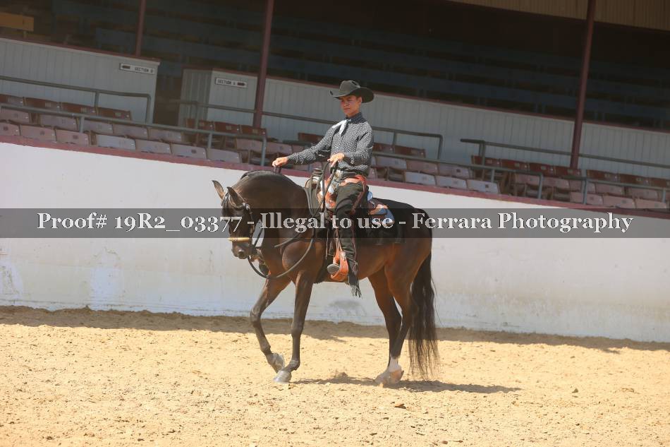 Proof 19R2_03377
