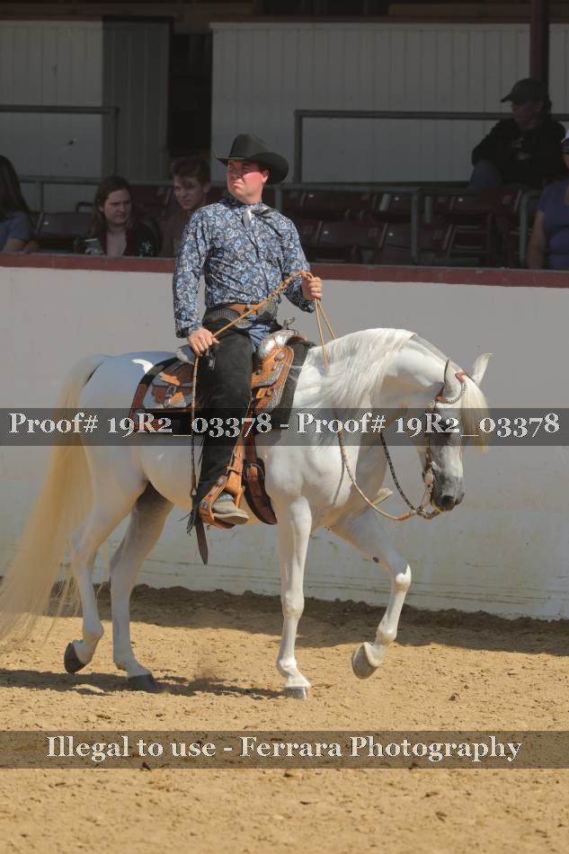 Proof 19R2_03378