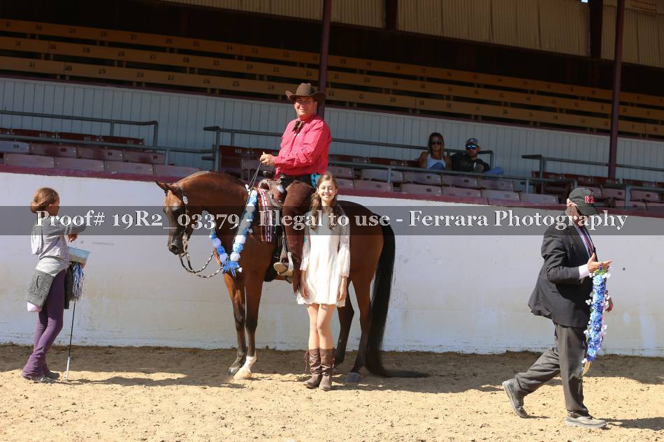 Proof 19R2_03379