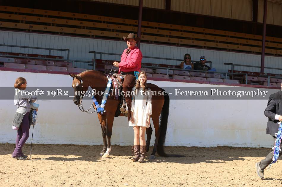 Proof 19R2_03380