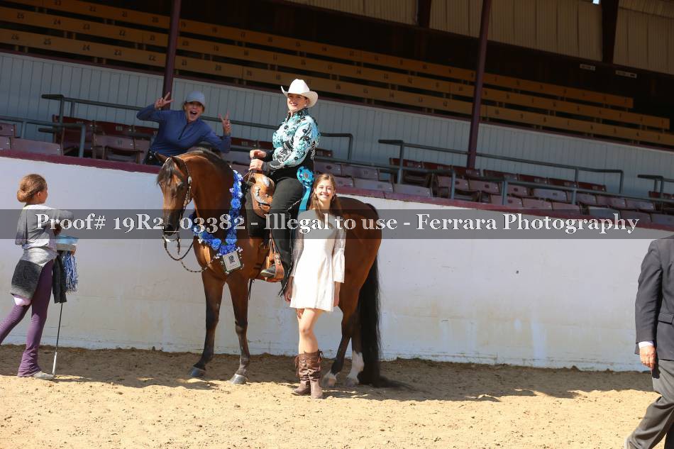 Proof 19R2_03382