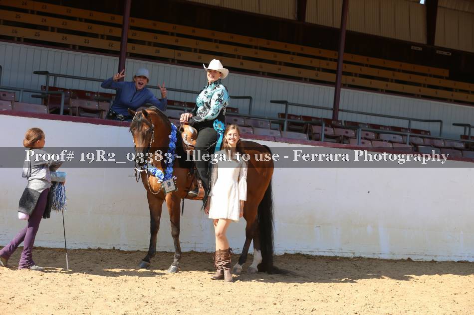 Proof 19R2_03383