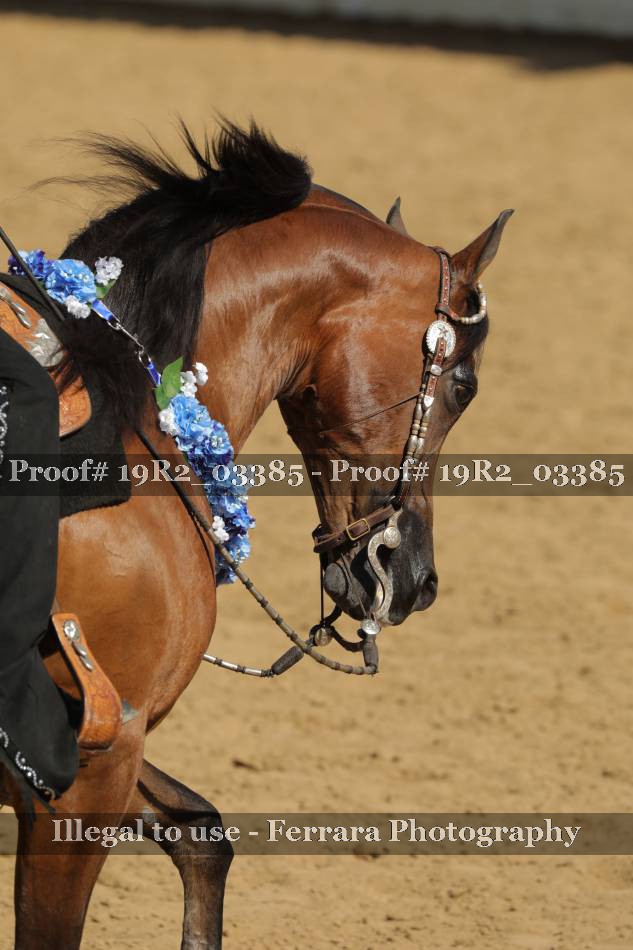 Proof 19R2_03385