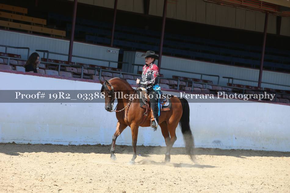 Proof 19R2_03388