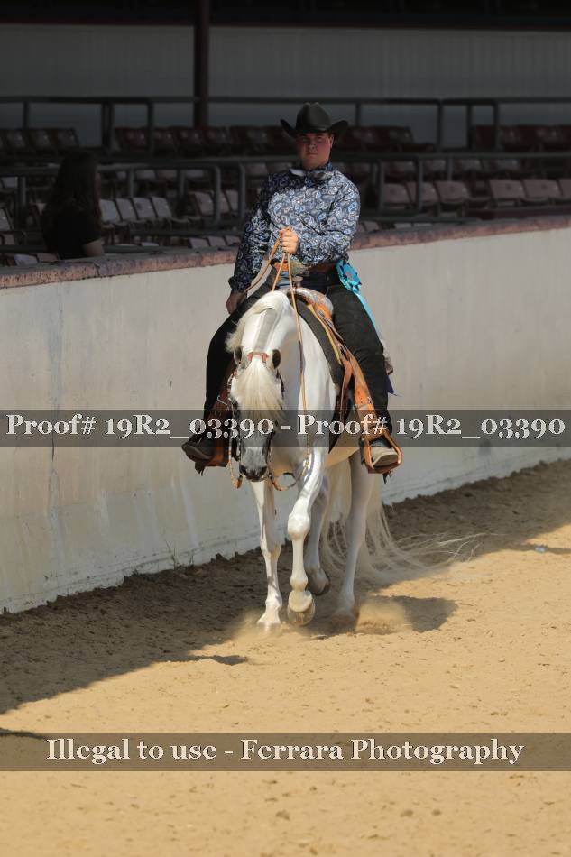 Proof 19R2_03390