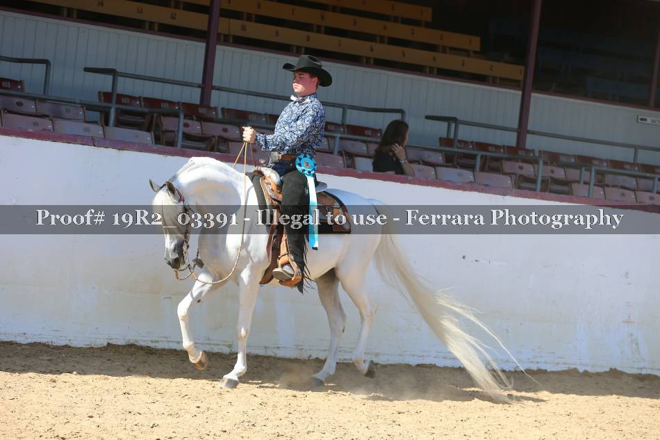 Proof 19R2_03391