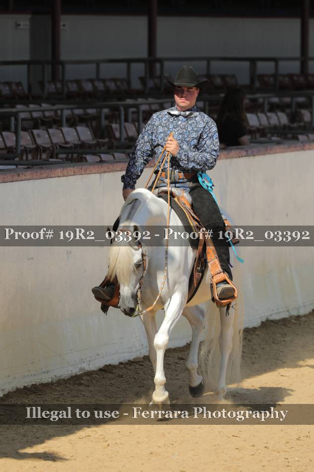 Proof 19R2_03392