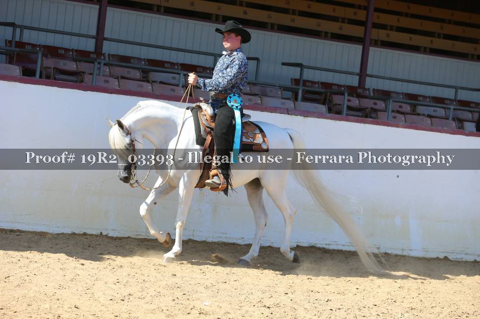 Proof 19R2_03393