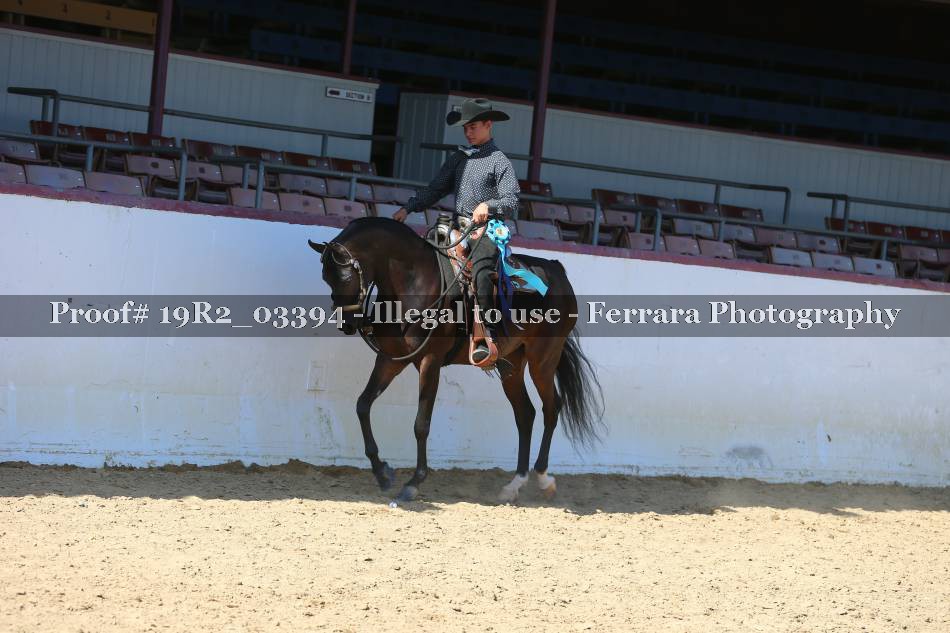 Proof 19R2_03394