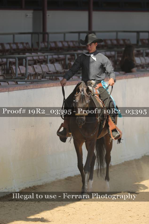 Proof 19R2_03395