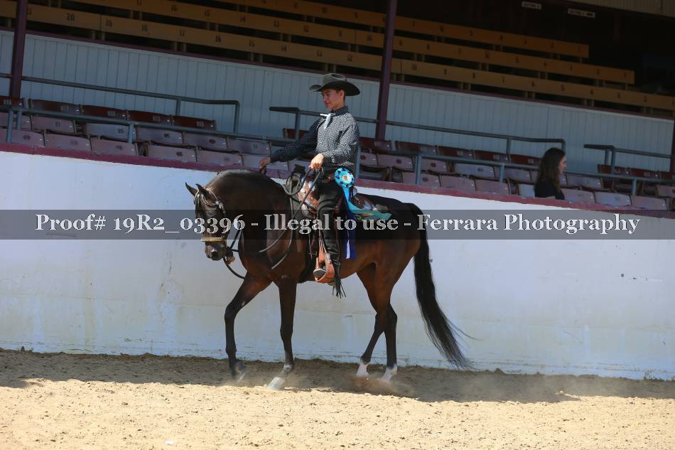 Proof 19R2_03396