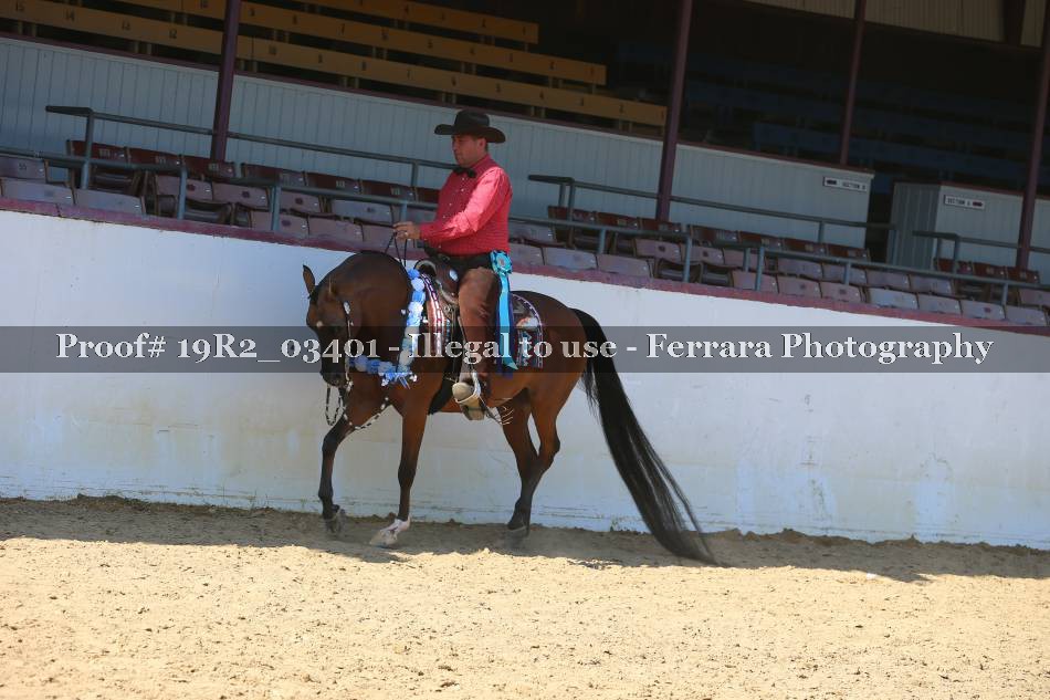 Proof 19R2_03401