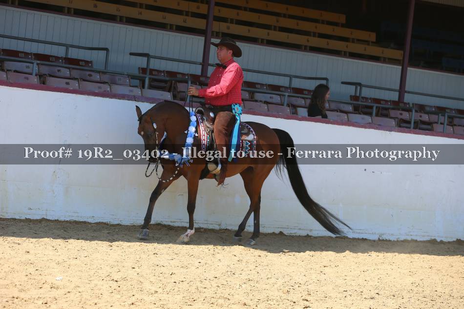 Proof 19R2_03402