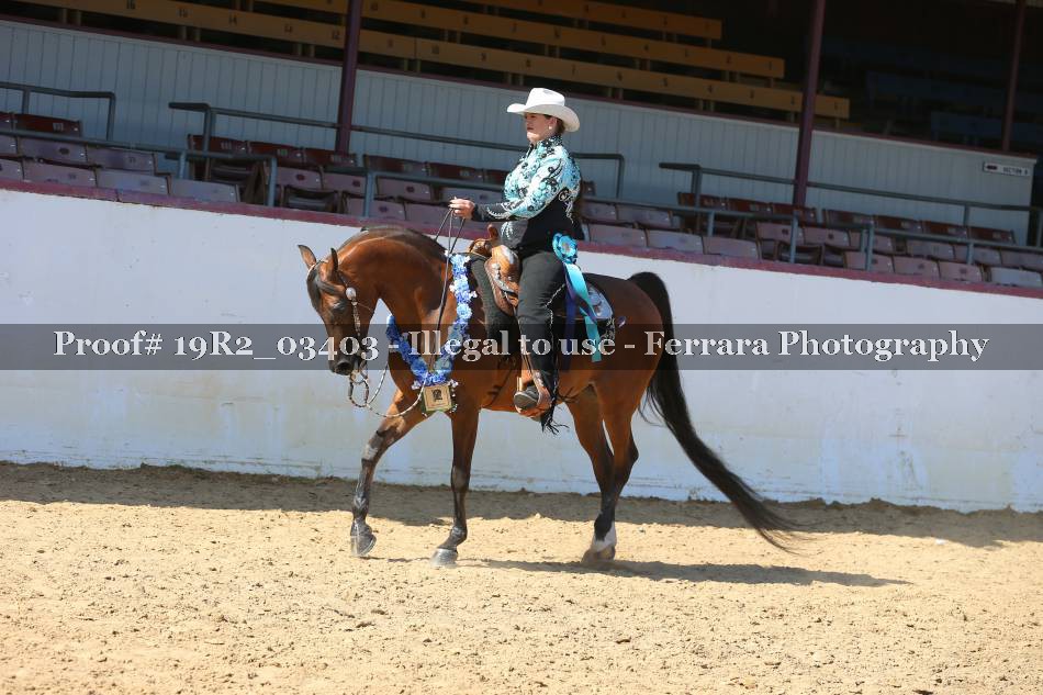 Proof 19R2_03403