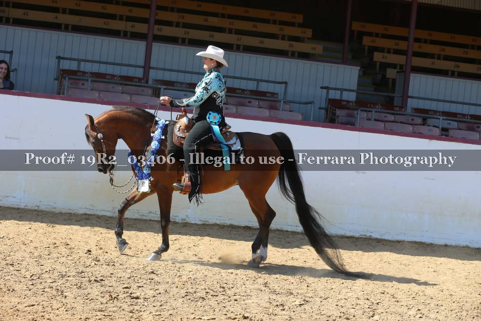 Proof 19R2_03406