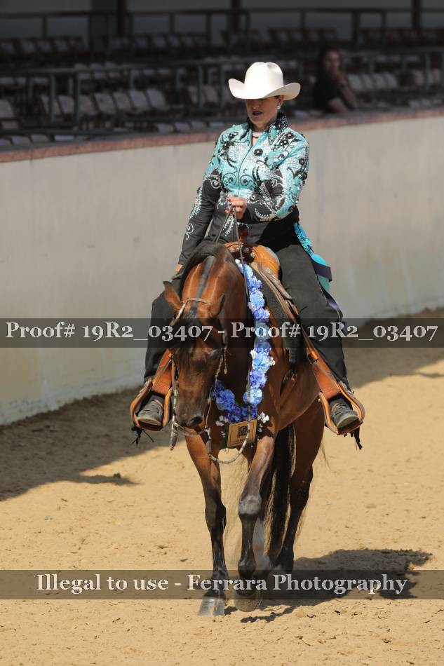 Proof 19R2_03407